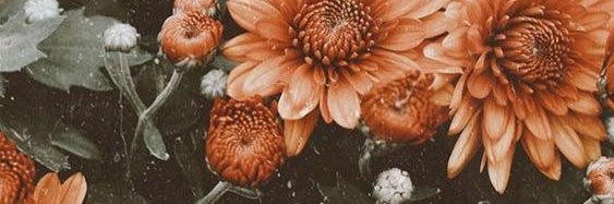 ssamanthafuller's profile banner image