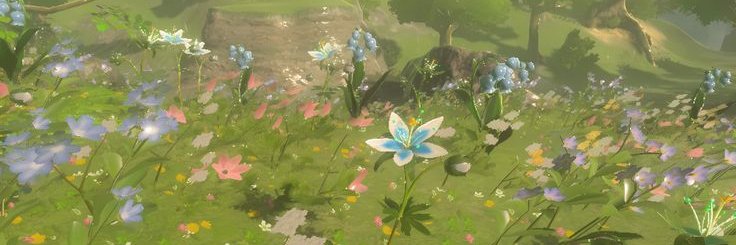 daji 𓍢ִ໋🌷͙֒ banner