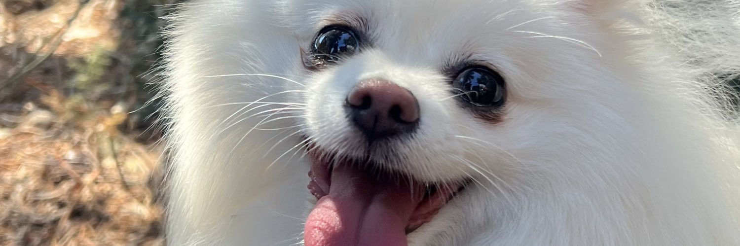 מיתר צוקר banner