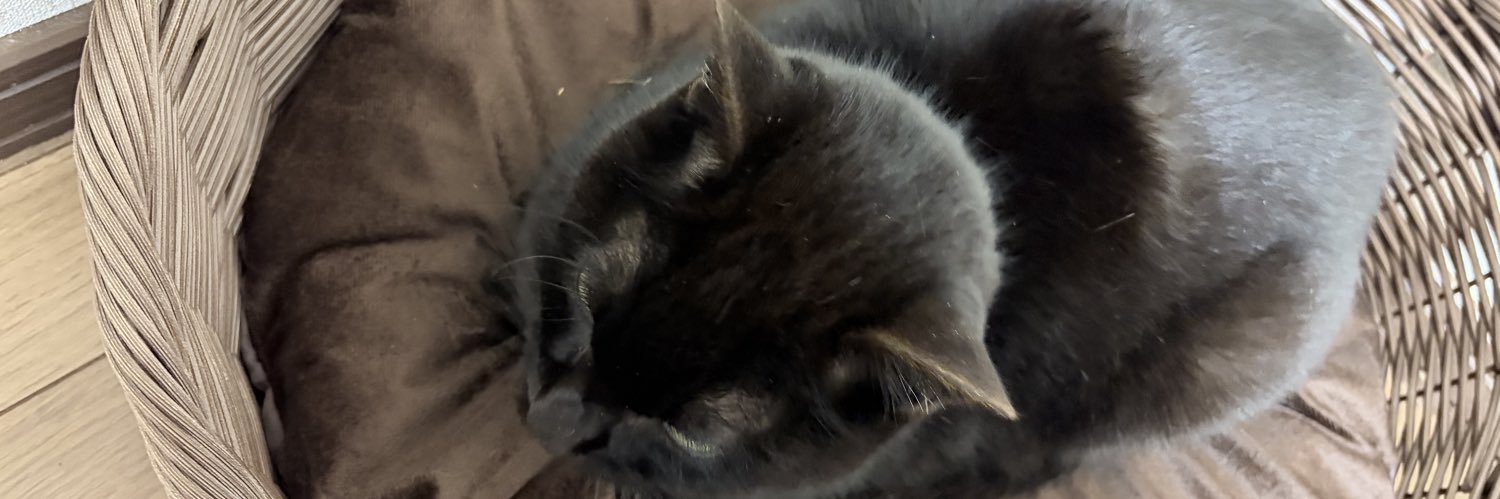 Bomb_zzZsleep's profile banner image
