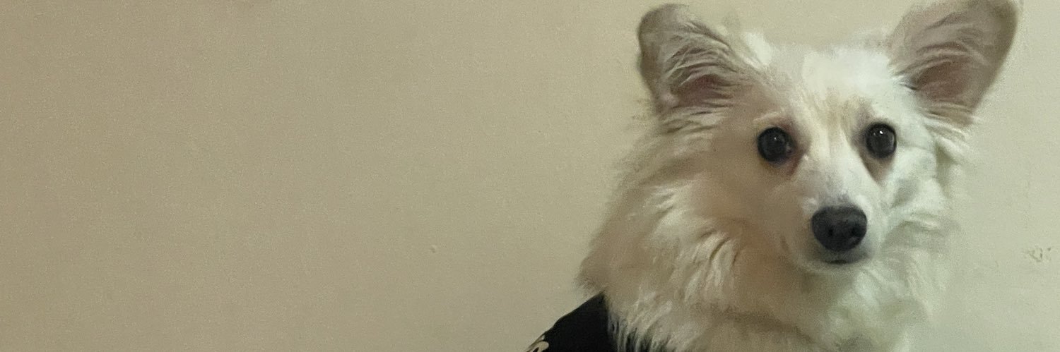 bashalovestarr_'s profile banner image