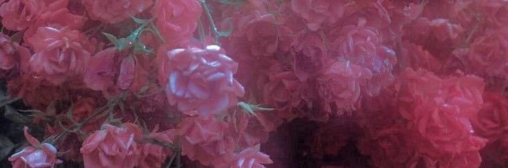 ¡¡ ı̣ןǝɯ banner