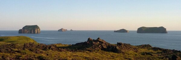 smarimc Profile Banner