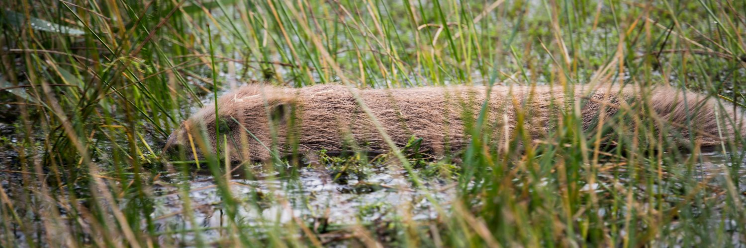 Idle Valley Reserve banner