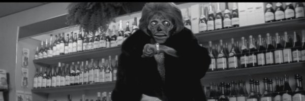 graf_there52332 Profile Banner