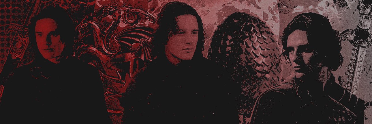 Jacaerys Velaryon banner