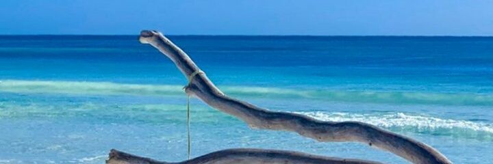 boggypop's profile banner image