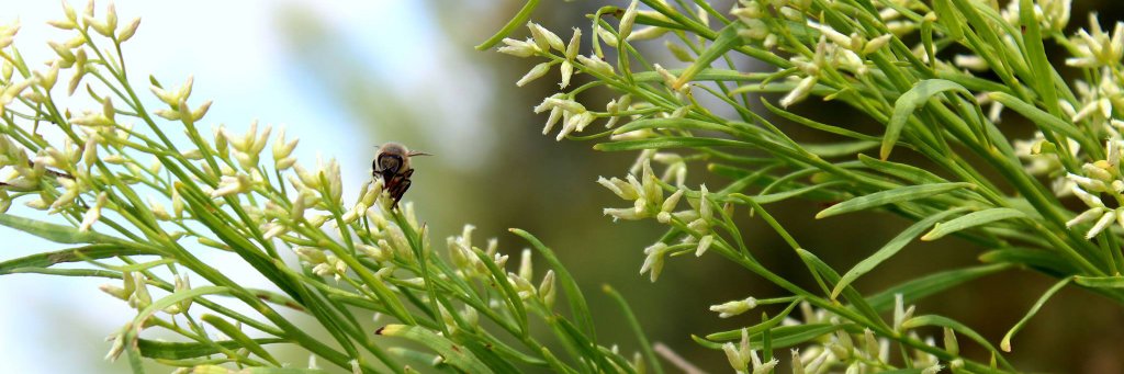 Buggie87's profile banner image