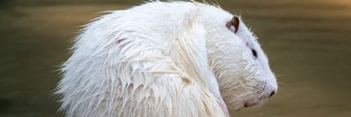 Melo448399's profile banner image