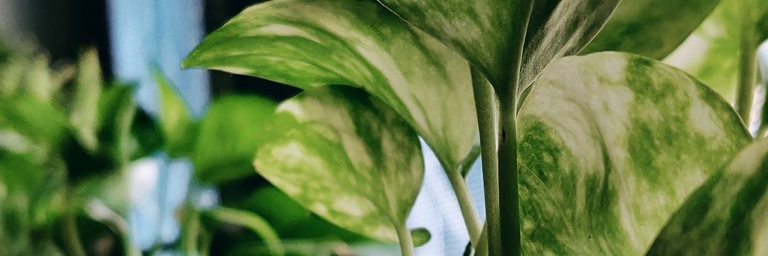 varmasab's profile banner image