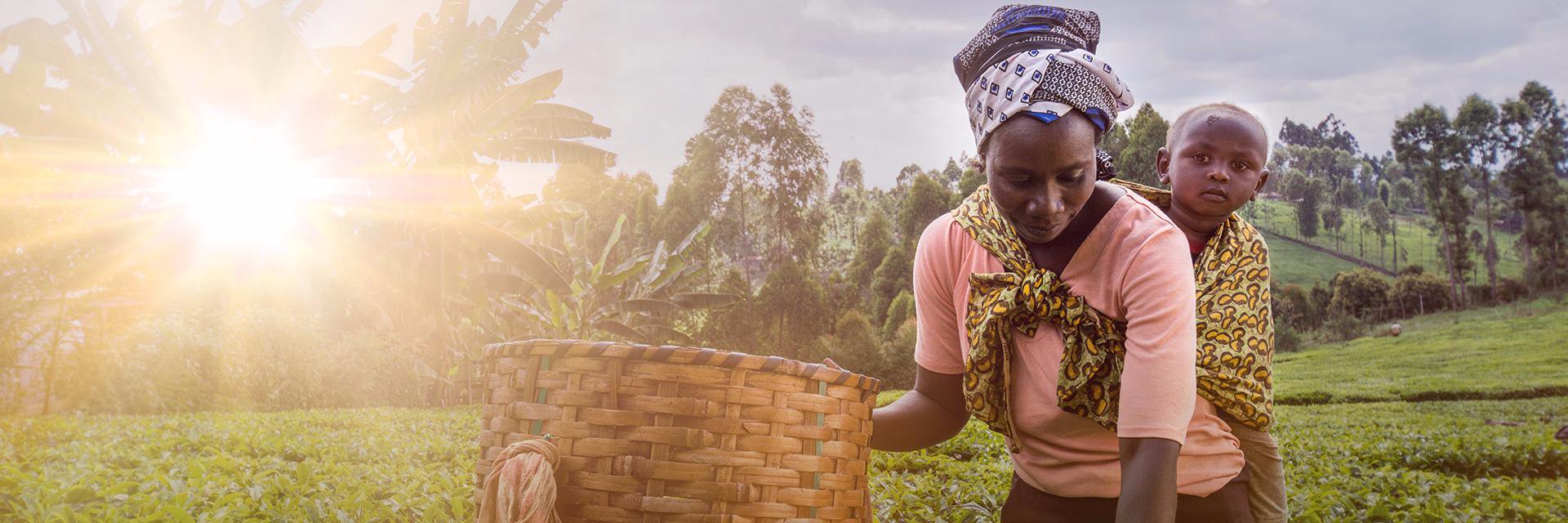 Freshnaija's profile banner image