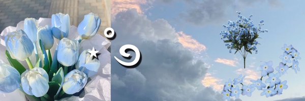 WOSOFlowerShop Profile Banner