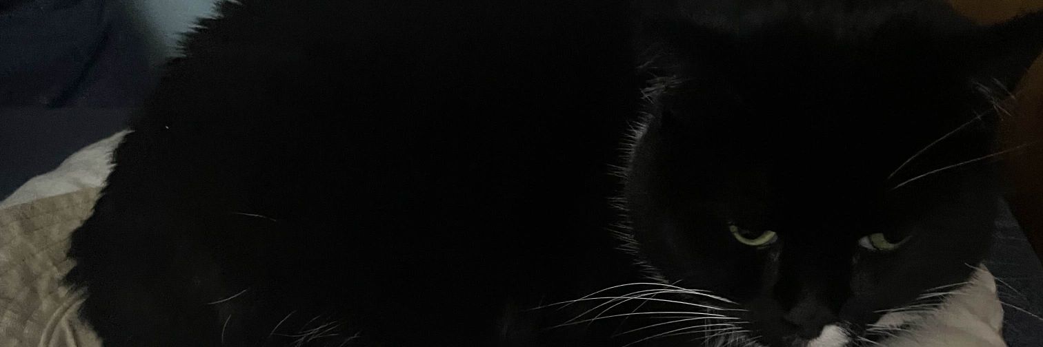 suddenoakdeath2's profile banner image