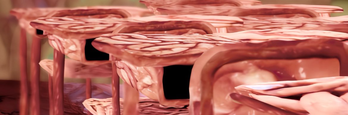 鮮血A子ちゃん 人類屠殺公式 banner