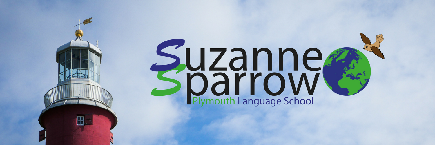 SparrowSchool's profile banner image