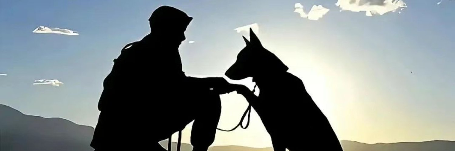 dfasdf11551's profile banner image