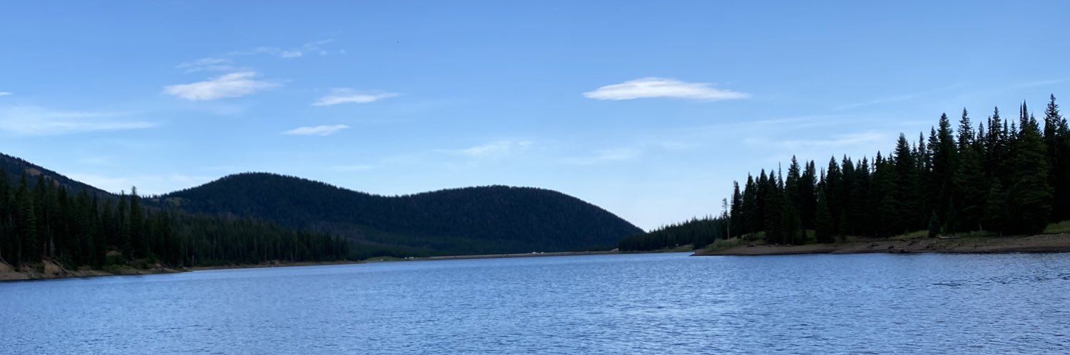 BSFord's profile banner image