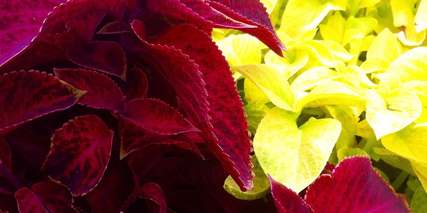 eflodogere's profile banner image