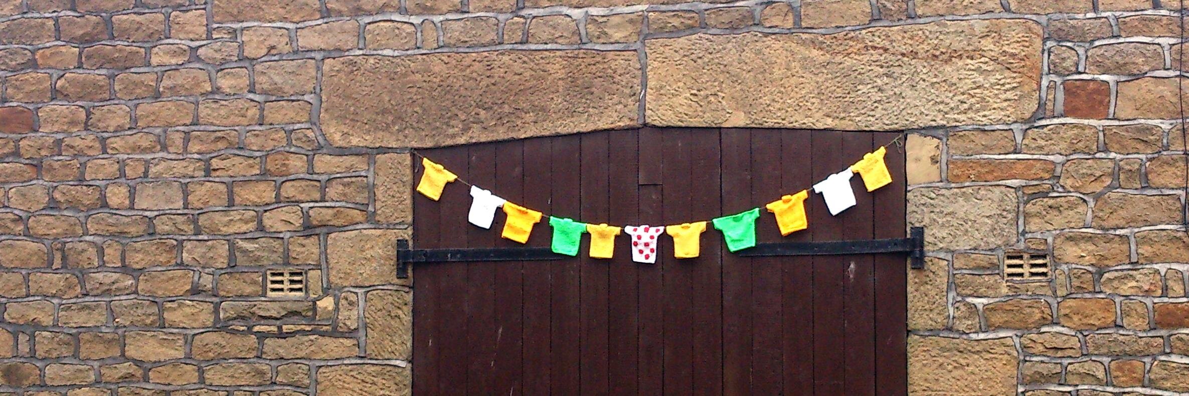 Dr Sarah Copeland banner