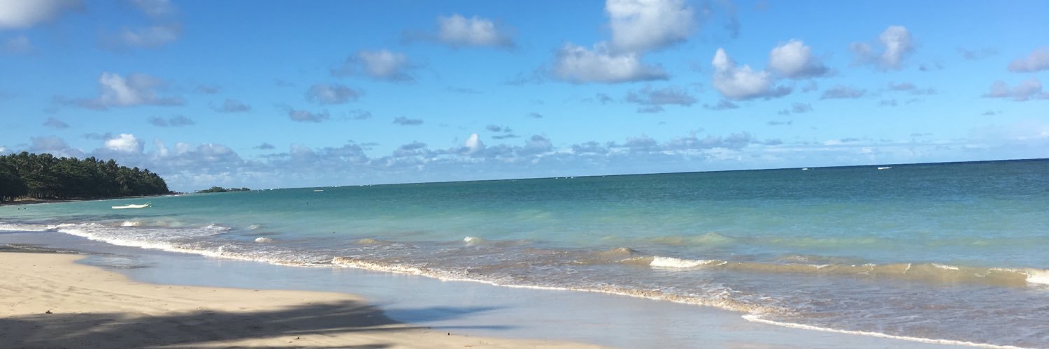 flavisfrida's profile banner image
