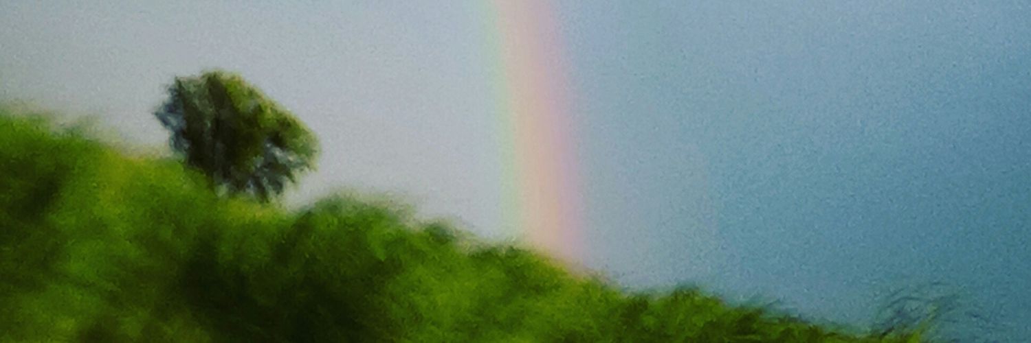 mountedhorse's profile banner image