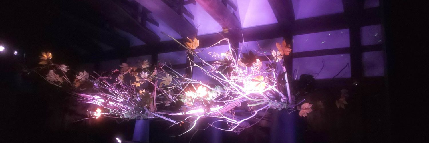 naomix666's profile banner image