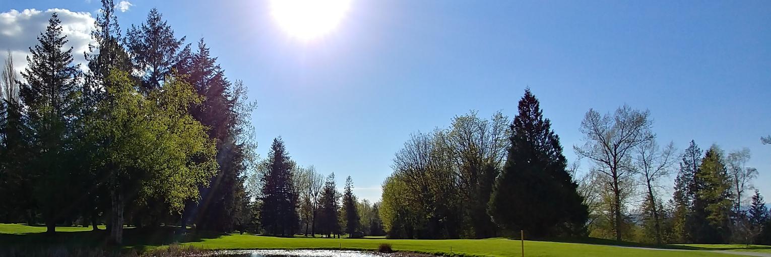 Demara Martins banner