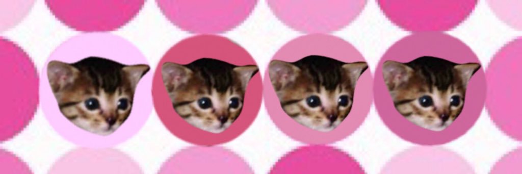 3cats_513's profile banner image