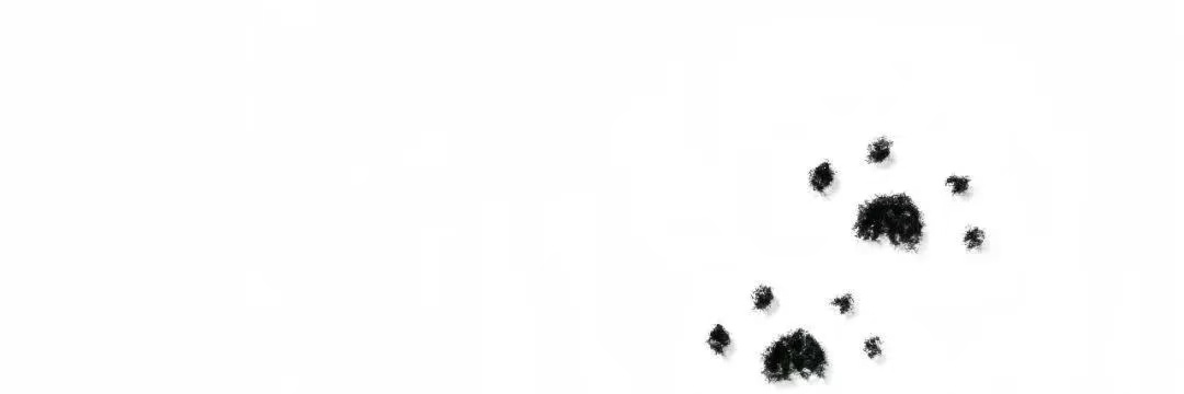 Ava_10086's profile banner image