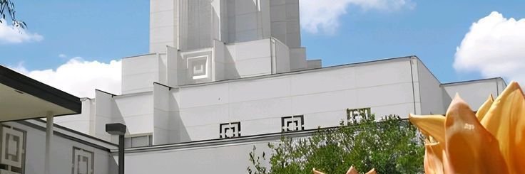 pikieru's profile banner image