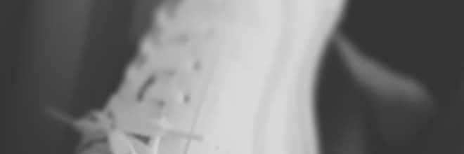 babybd banner