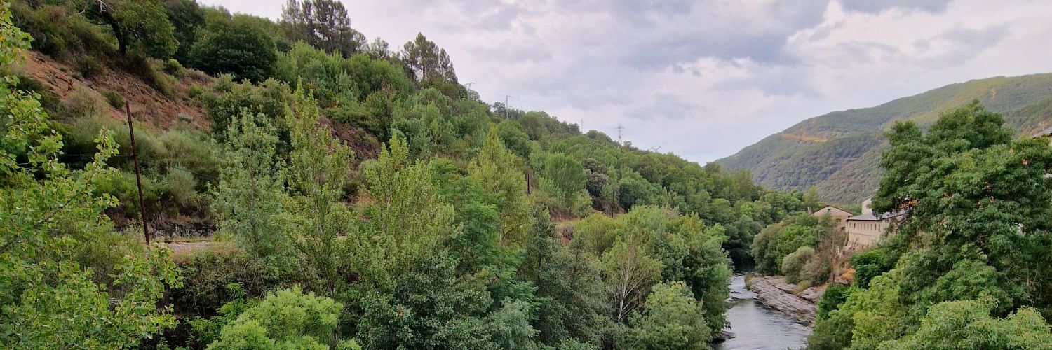 Daniel Gómez banner