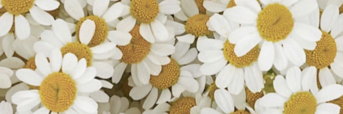 nai nai banner