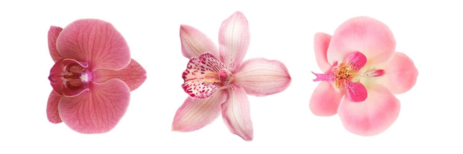 ayi’s life🍓 ʚɞ slr RECHAT ya banner