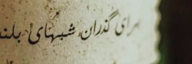 DelAram🌱's banner