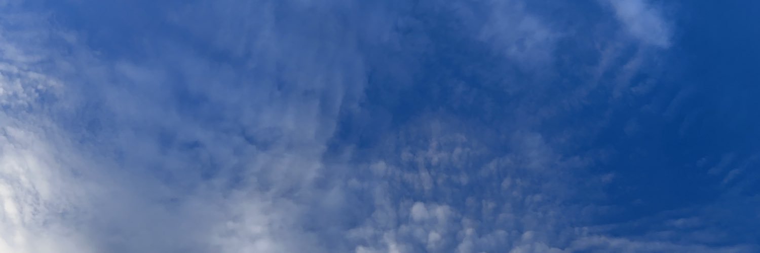 Fleur de Maize banner