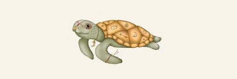 Jorge The Myspace Turtle banner