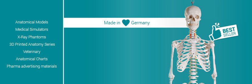 Erler-Zimmer Anatomy banner