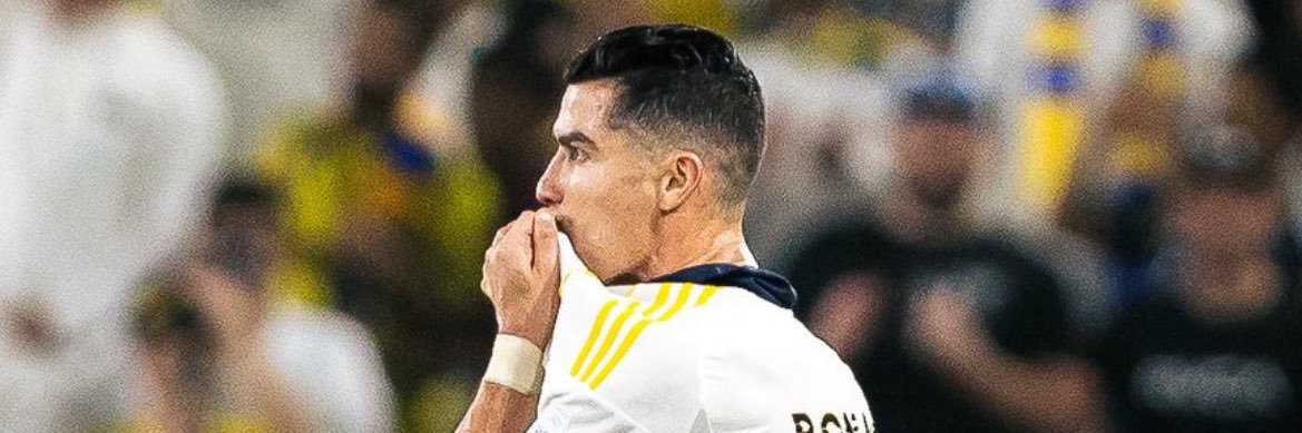 🕊️ banner