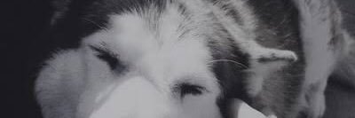 amelpoww's profile banner image