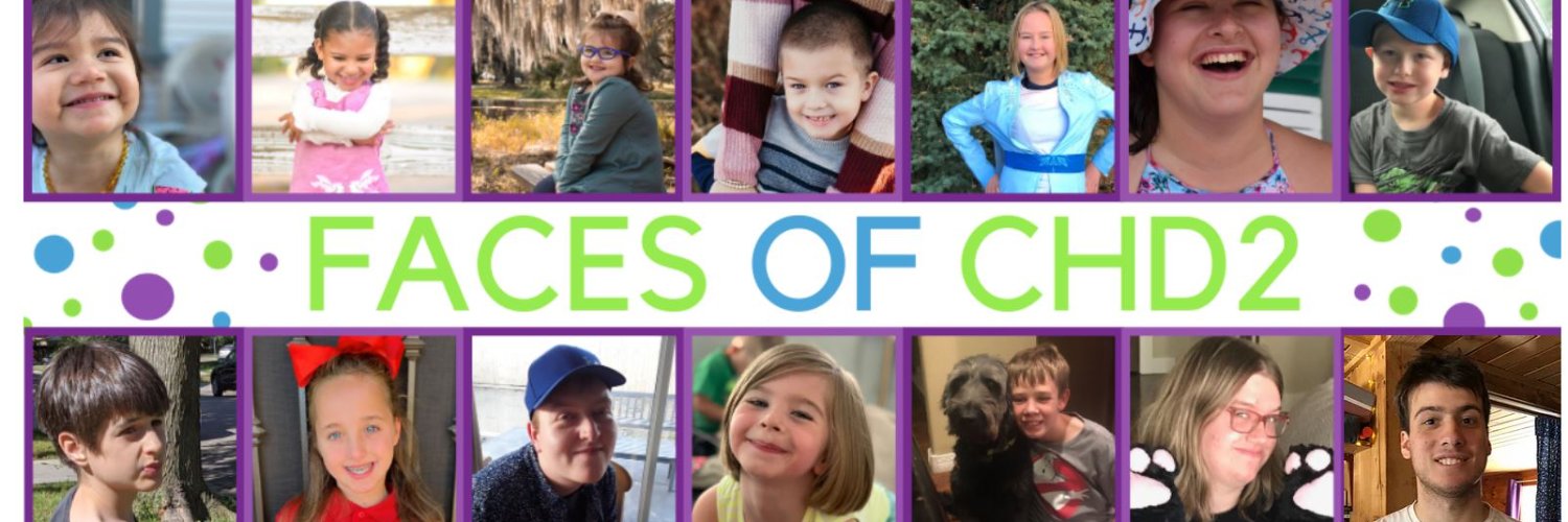Coalition to Cure CHD2 banner