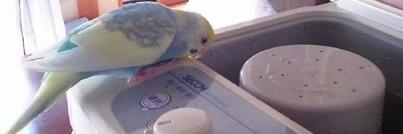 maru3636's profile banner image