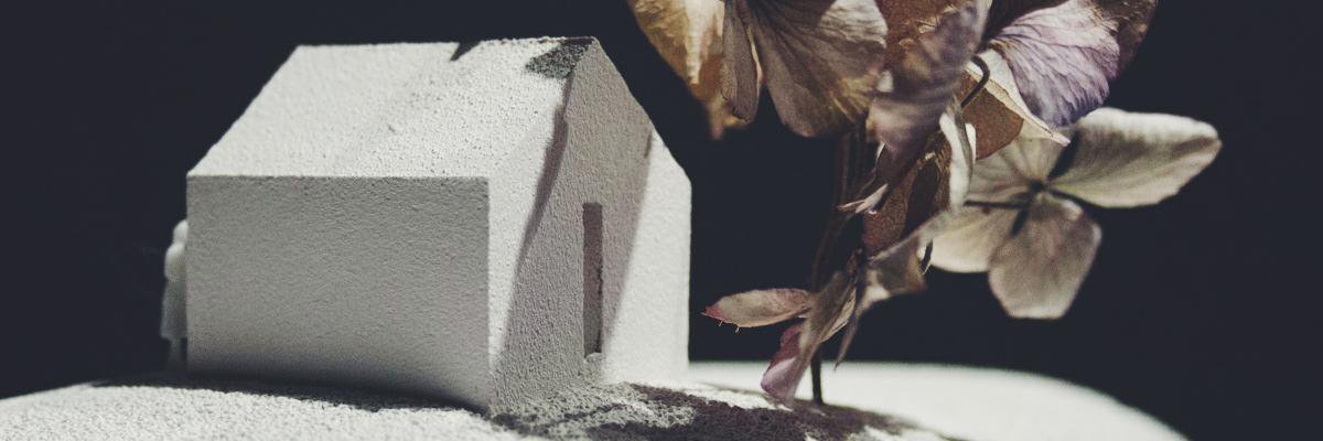 LilLazyCat's profile banner image