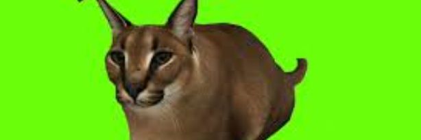 manewhatinthefucisyoudoinginmymothafucinhouse? banner