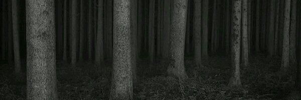 simple face🌲🌞🌲 banner