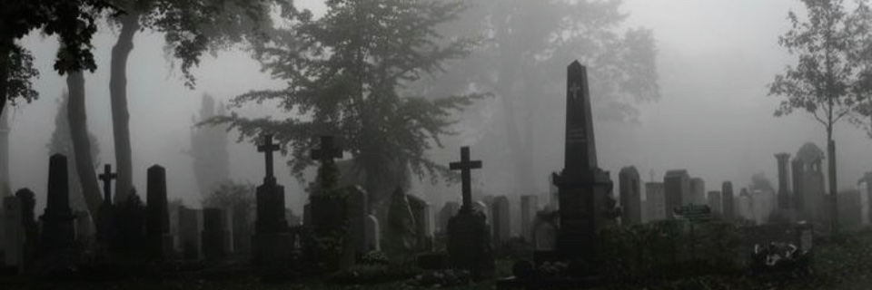 ● ᴗ ☉ banner