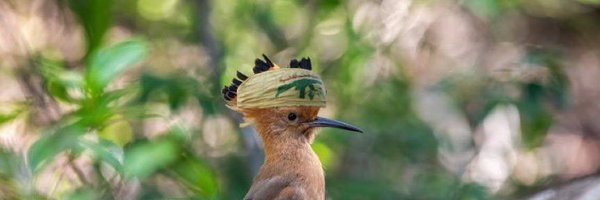 MARK3DONE47 Profile Banner