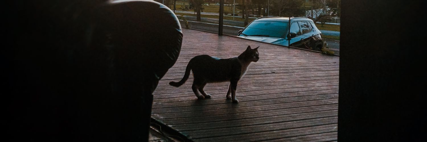 willutzig's profile banner image