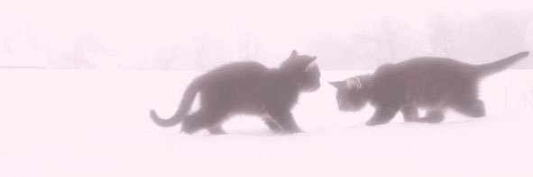 مشعه🕯️ banner