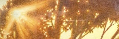 amy🤍 banner